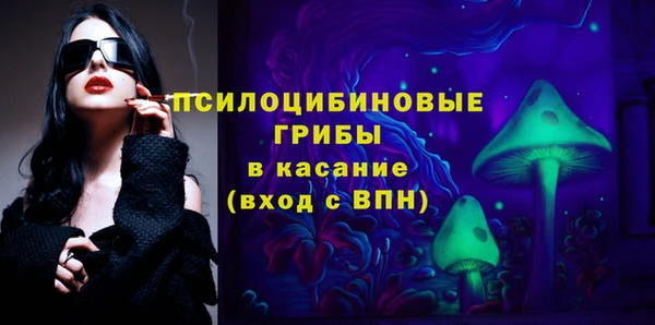 МДПВ Карпинск