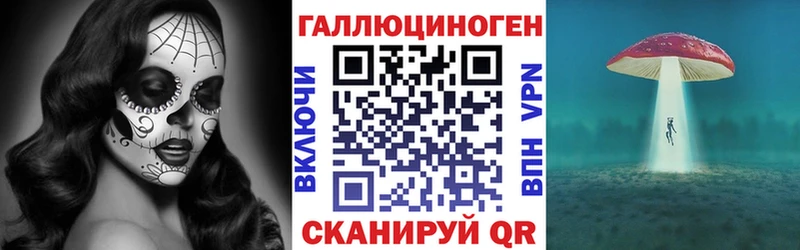 Купить где  Болгар  Галлюциногенные грибы Psilocybe 